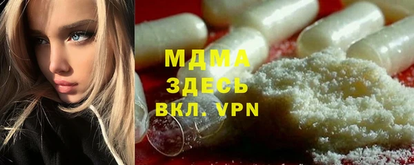 гашик Ельня