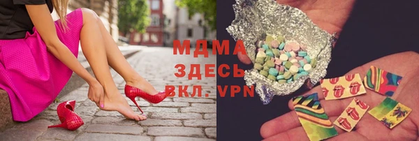 гашик Ельня