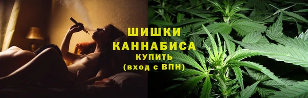 амф Елабуга