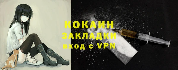гашик Ельня