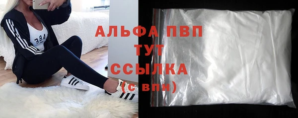 гашик Ельня