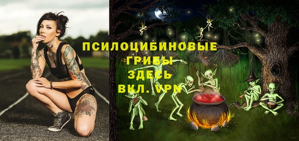 гашик Ельня