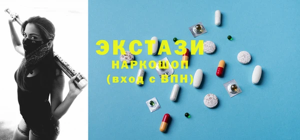 гашик Ельня