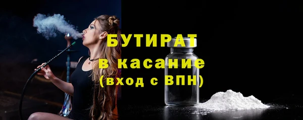 гашик Ельня