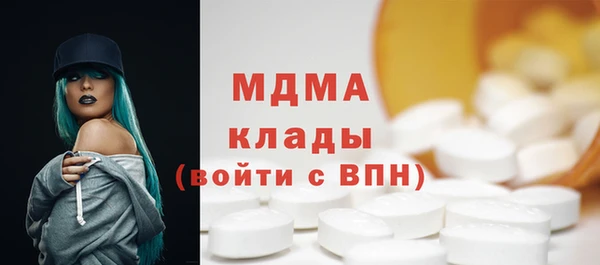 гашик Ельня