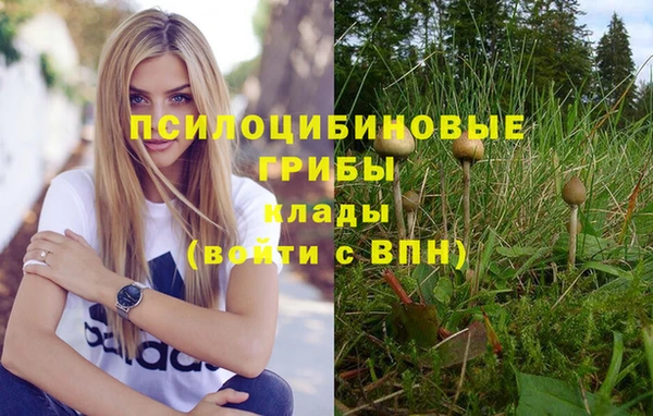 прущая мука Туринск