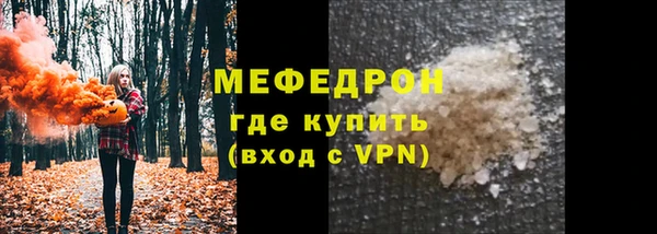гашик Ельня