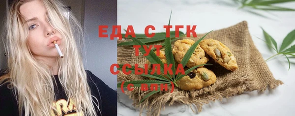 гашик Ельня