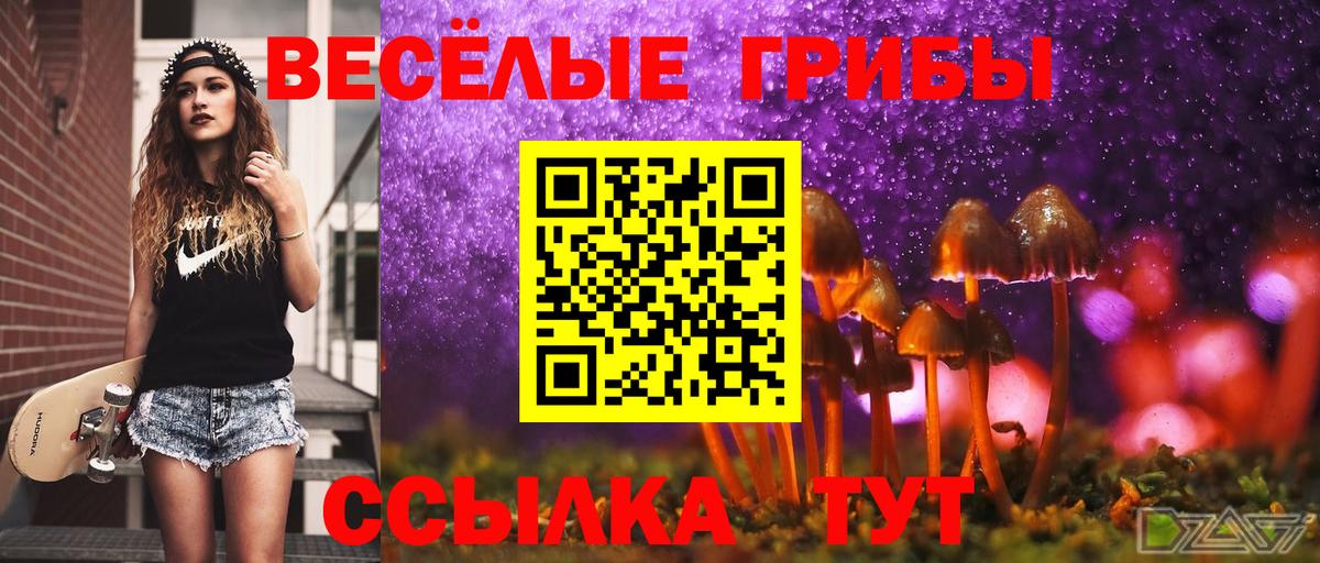 Галлюциногенные грибы Psilocybine cubensis Скопин
