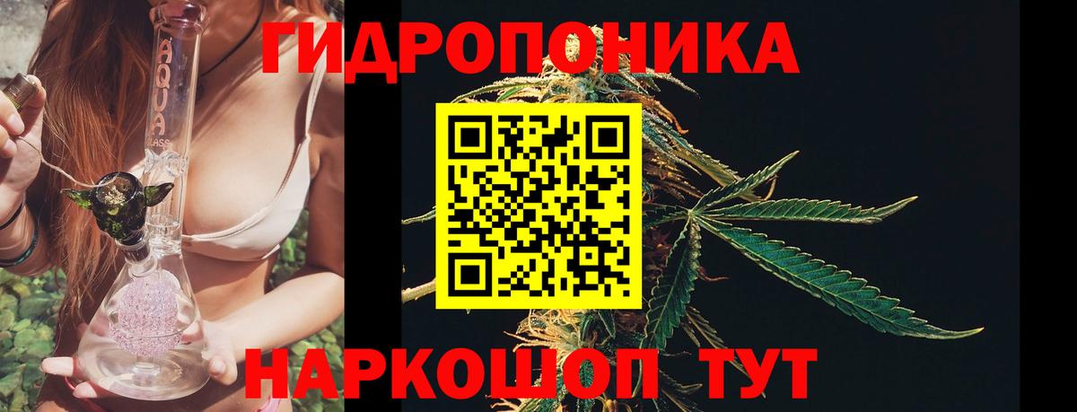 Конопля VHQ  МАРИХУАНА MAZAR  Скопин  Вход с VPN  Конопля Bruce Banner  Бошки марихуана SATIVA & INDICA 